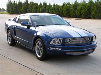 Stampede Mustang